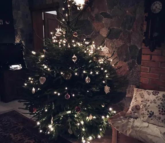 Prázdninový dům Mamrowisko