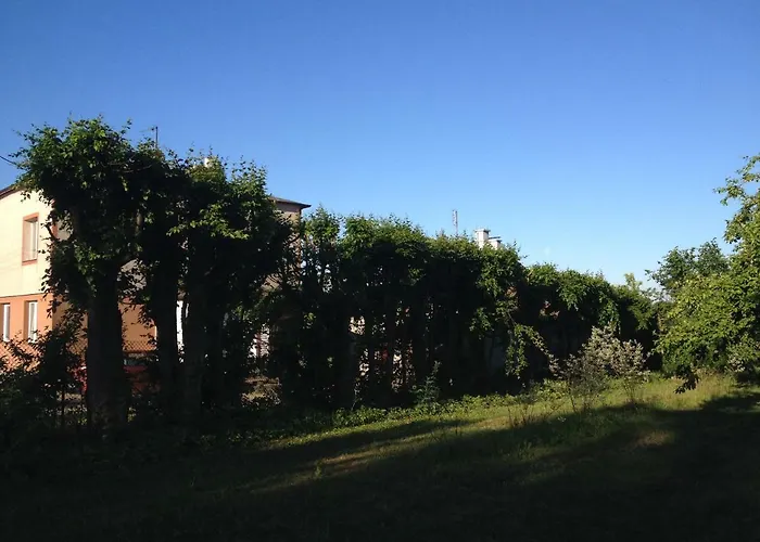 Mamrowisko * Węgorzewo